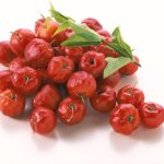 Acerolas 12 anos Trazendo os melhores produtos e dicas de vida