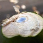 12 anos Trazendo os melhores produtos e dicas de vida