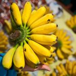 bananas saúde 12 anos Trazendo os melhores produtos e dicas de vida