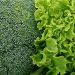 Mão segurando suplemento de vitamina B12 com alimentos saudáveis ao fundo